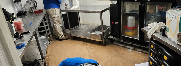 Commercial Pest Control