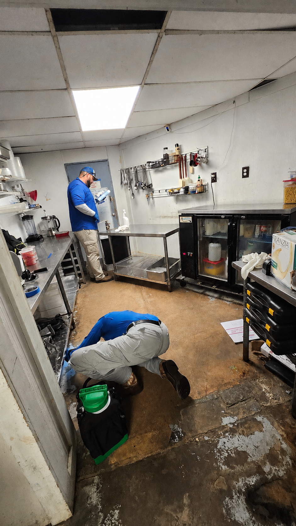 Commercial Pest Control